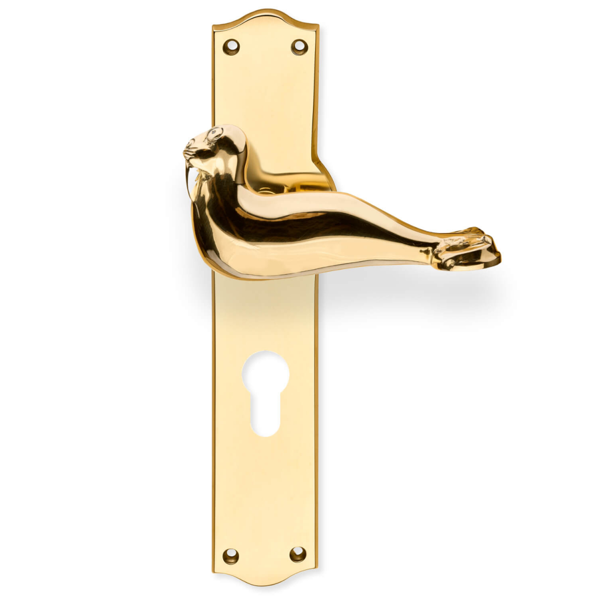 Door handle on Back plate Brass Walrus 115 mm BRASS