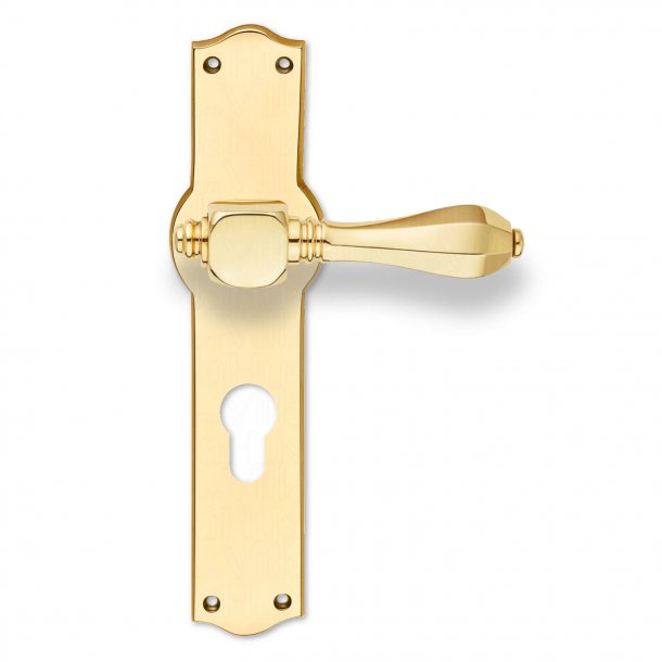 Door Handle Exterior Brass Backplate With Euro Profile Cc72mm Medici Exterior Door 7768