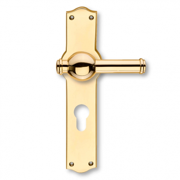 Door handle Exterior Brass Back plates with profile cylinder lock