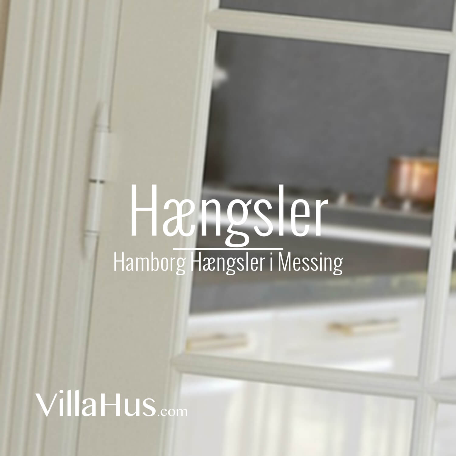 Door hinges