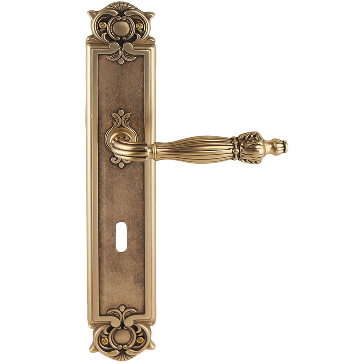 27 Awesome Exterior door handle backplate Trend in This Years